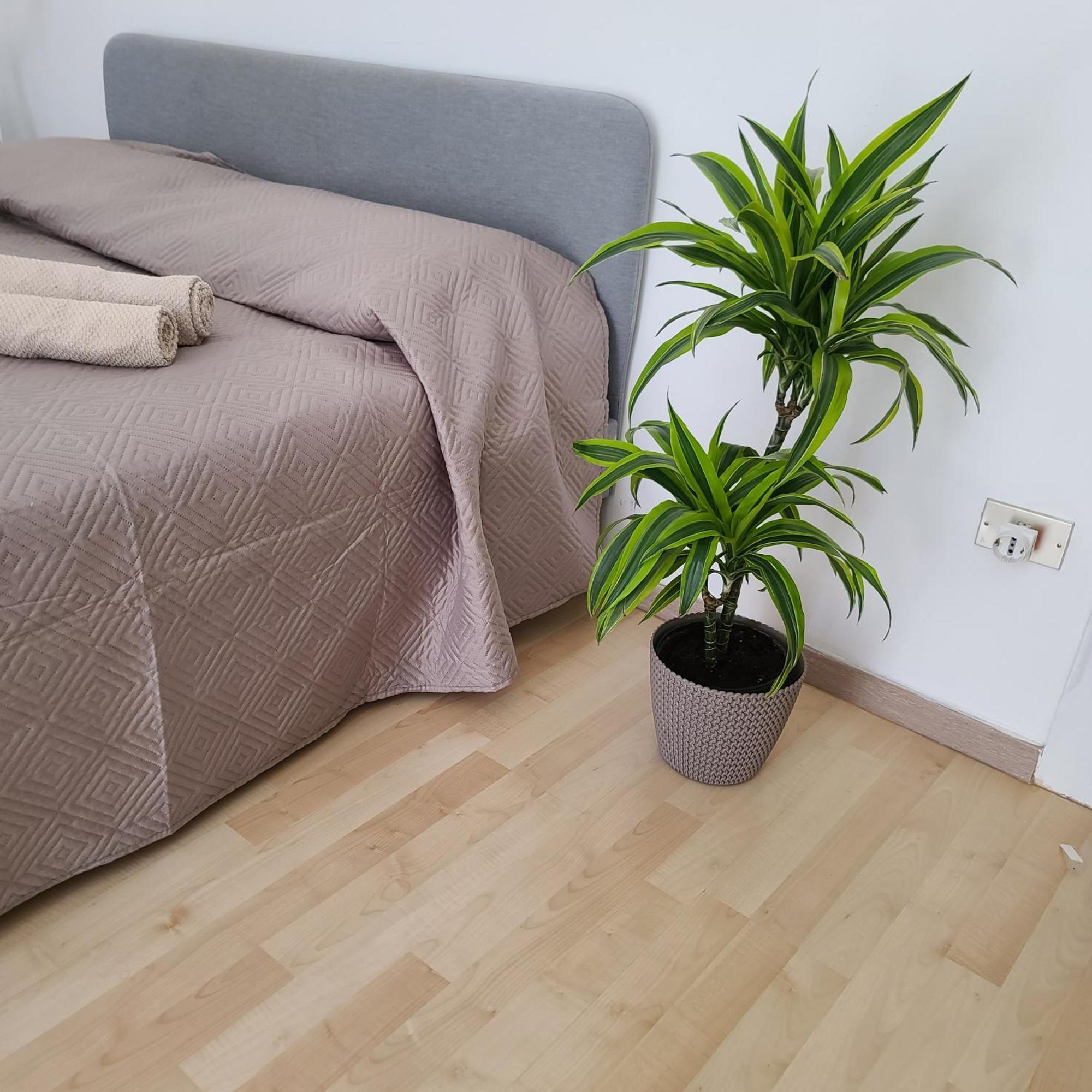 Mariamora Apartment บารี ภายนอก รูปภาพ